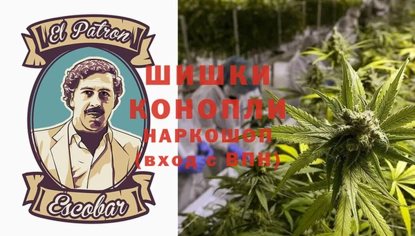 дживик Кинешма