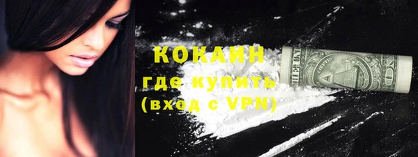 дживик Кинешма