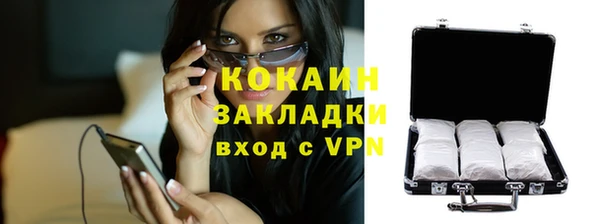 дживик Кинешма